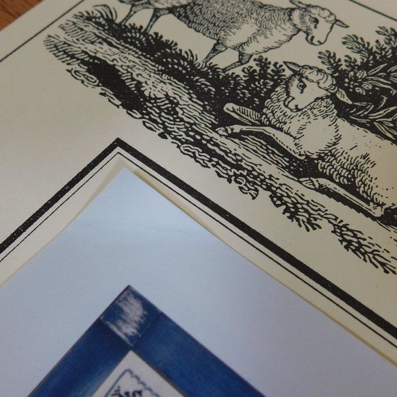 Beneath The Waters Noah cross stitch Barrick Samplers lobster seahorse turtle - Picture 9 of 10